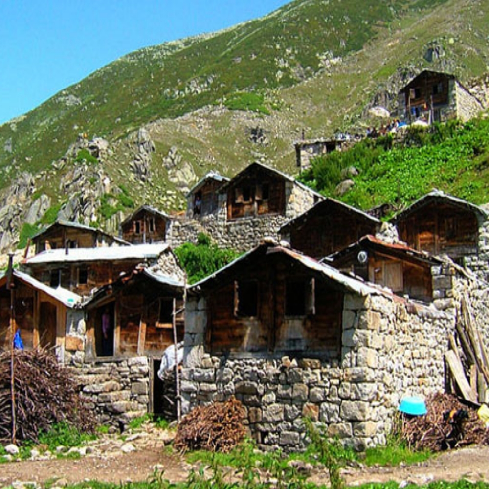 Ayşe Yağcı